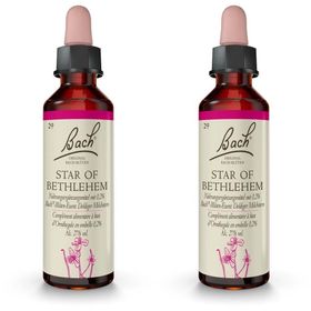 BACH®-BLÜTE STAR OF BETHLEHEM (Doldiger Milchstern)