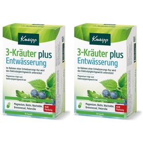 KNEIPP 3-herbes plus drainage