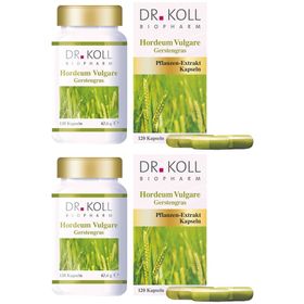 GERSTENGRAS HORDEUM VULGAR Bio 2x