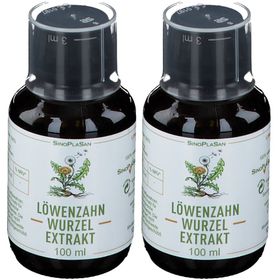 SinoPlaSan Extrait de racine de pissenlit