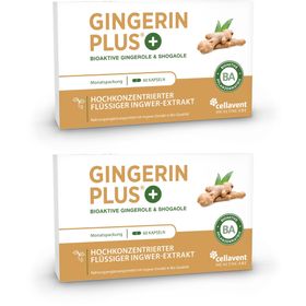 GINGERIN PLUS Bio 2x