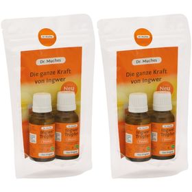 INGWERTROPFEN Dr.Muches 2x