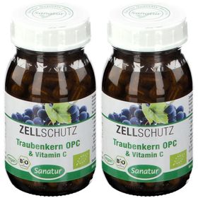 OPC TRAUBENKERN & VIT C Bio 2x