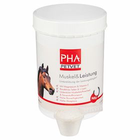 PHA Muscle & Performance pour chevaux