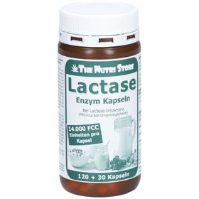 LACTASE 14.000 FCC Enzym Kapseln