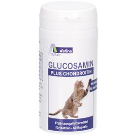Avitale vetline glucosamine + chondroïtine