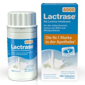 Lactrase® 6000 FCC Comprimés