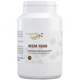 VitaWorld MSM 1000