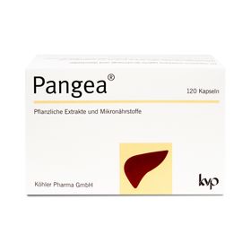 kvp Pangea® gélules