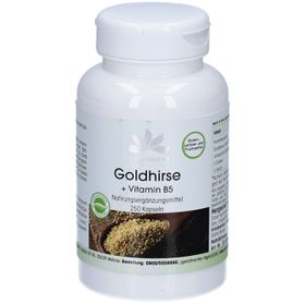 Warnke Goldhirse + Vitamin B5