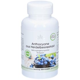 Warnke Anthocyanes d'extrait de myrtille