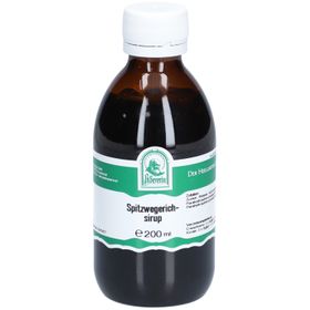 Spitzwegerich Sirup