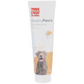 PetVet PHA GastroPaste für Hunde