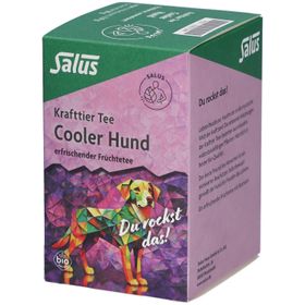 Salus Tisane Chien cool - Tisane aux fruits bio - 15 sachets filtres