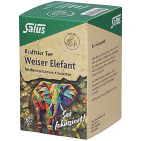 Salus Tisane aux herbes et aux épices bio - Sachets-filtres