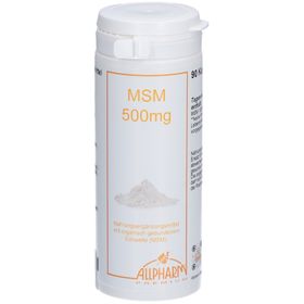 ALLPHARM MSM 500 mg Kapseln
