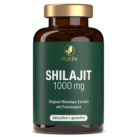 vitactiv SHILAJIT 1000 mg Kapseln