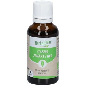 Herbalgem Schwarze Johannisbeere Bio