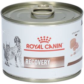 ROYAL CANIN® Recovery Ultra weicher Schaum Hund und Katze