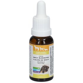 Bachblüten Tiere Tropfen HILFE