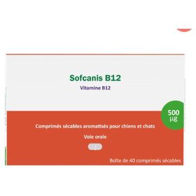 Sofcanis B12