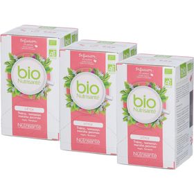 bio Nutrisanté Detox Kräutertee