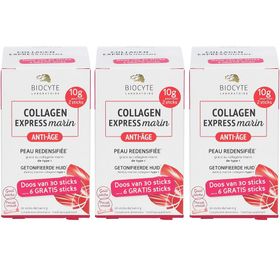 Biocyte Collagen Express Sticks Pack