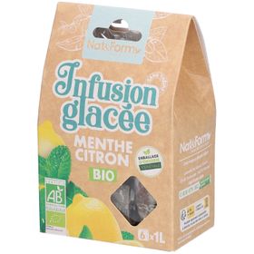 Nat&Form Infusion glacée bio Menthe Citron