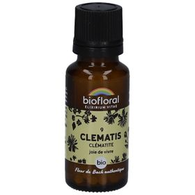 BIOFLORAL Clematis - Waldrebe - Bio