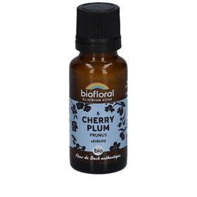 BIOFLORAL 06 Kirschpflaume - Prunus