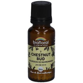 BIOFLORAL Kastanienknospe - Bourgeon de Marronnier - Bio