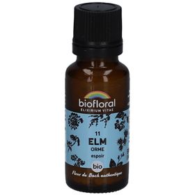 BIOFLORAL Ulme - Orme - Bio