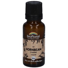 BIOFLORAL Hainbuche - Charme - Bio
