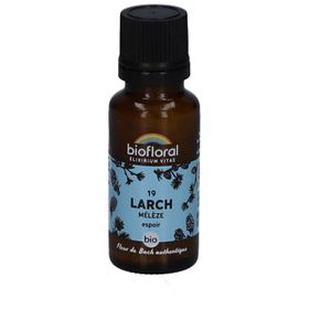 BIOFLORAL 19 Larch - Lärche