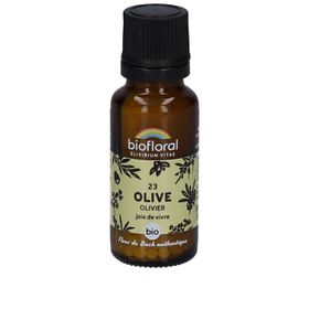 BIOFLORAL 23 Olive - Olivier