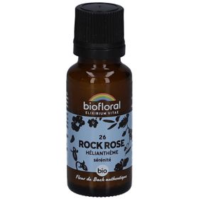BIOFLORAL Rock Rose - Helianthus - Bio