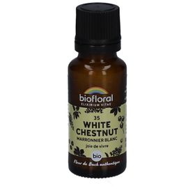 BIOFLORAL 35 White Chestnut - Weiße Kastanie