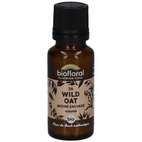 BIOFLORAL Wild Oat - Wilder Hafer - Bio
