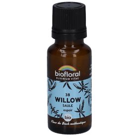 BIOFLORAL 38 Weide - Saule