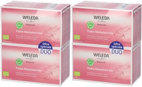 WELEDA Stilltee Bio Rote Früchte