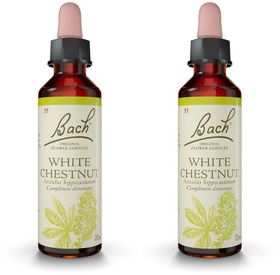 Bach®-Blüten Weiße Kastanie