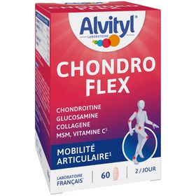 ALVITYL Chondro Flex