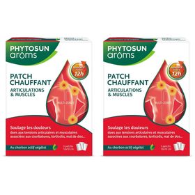 PHYTOSUN aroms GELENK & MUSKEL Patches