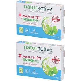 Naturactive Kopfschmerzen Flash Bio