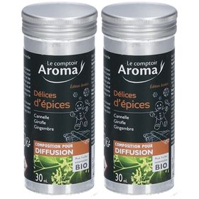 Le Comptoir Aroma Composition pour Diffusion Délices d'épices