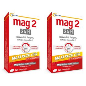 MAG 2 - 24H - MAXI PACK PROMO 4 MONATE - Nahrungsergänzungsmittel mit Magnesium, Vitamin B6 und B12 - Anti-Nervosität und Anti-Müdigkeit - 3+1 Monat geschenkt - 120 Tage Programm - 120 Tabletten mit verlängerter Wirkstofffreisetzung