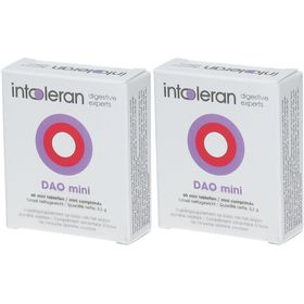 INTOLERANT DAO Mini