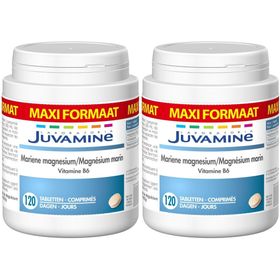 Juvamine Magnesium + Vitamin B6