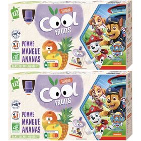 Vitabio COOL FRUITS LA PAT' PATROUILLE POMME MANGUE ANANAS +3 ans 12x90g