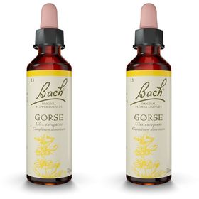 Original Bach®-Blüten Gorse Nr. 13